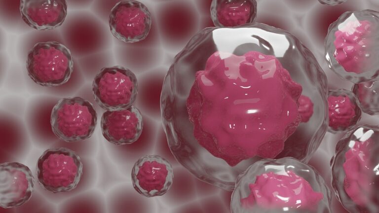 Is Deadly Cancer Disease Curable?