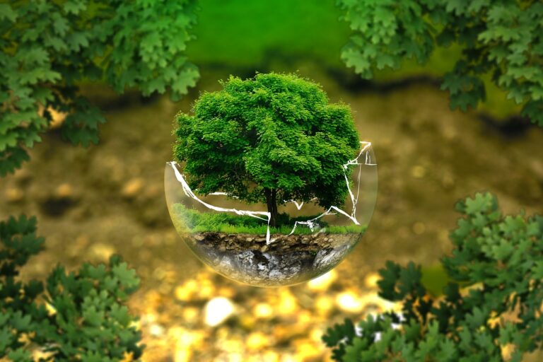 Environment Protection
