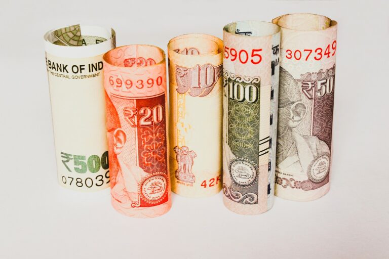 What to expect from Budget 2024-25?